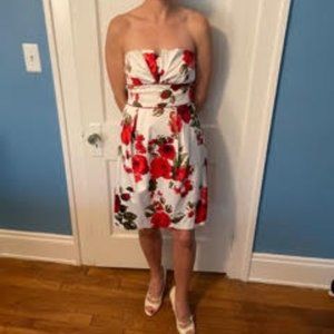 Red Rose Dress